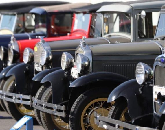 verdadinformativa-google