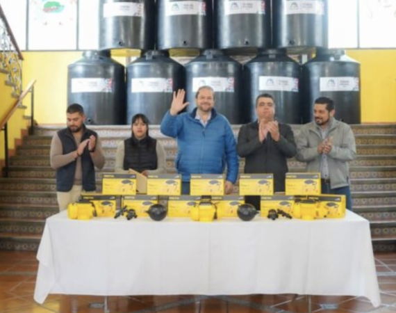 verdadinformativa google