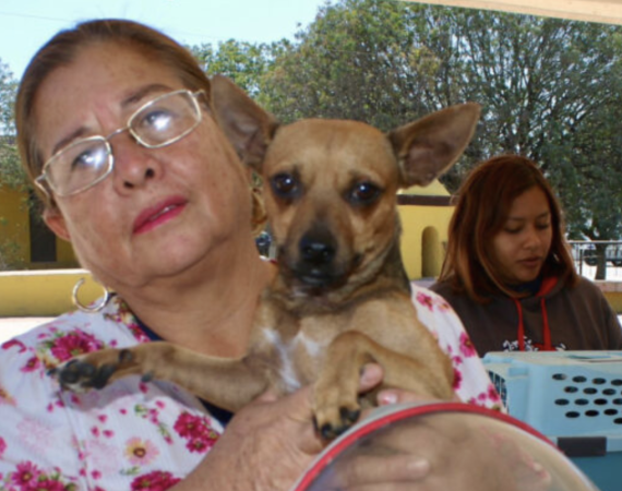 ramos arizpe estirilizacion